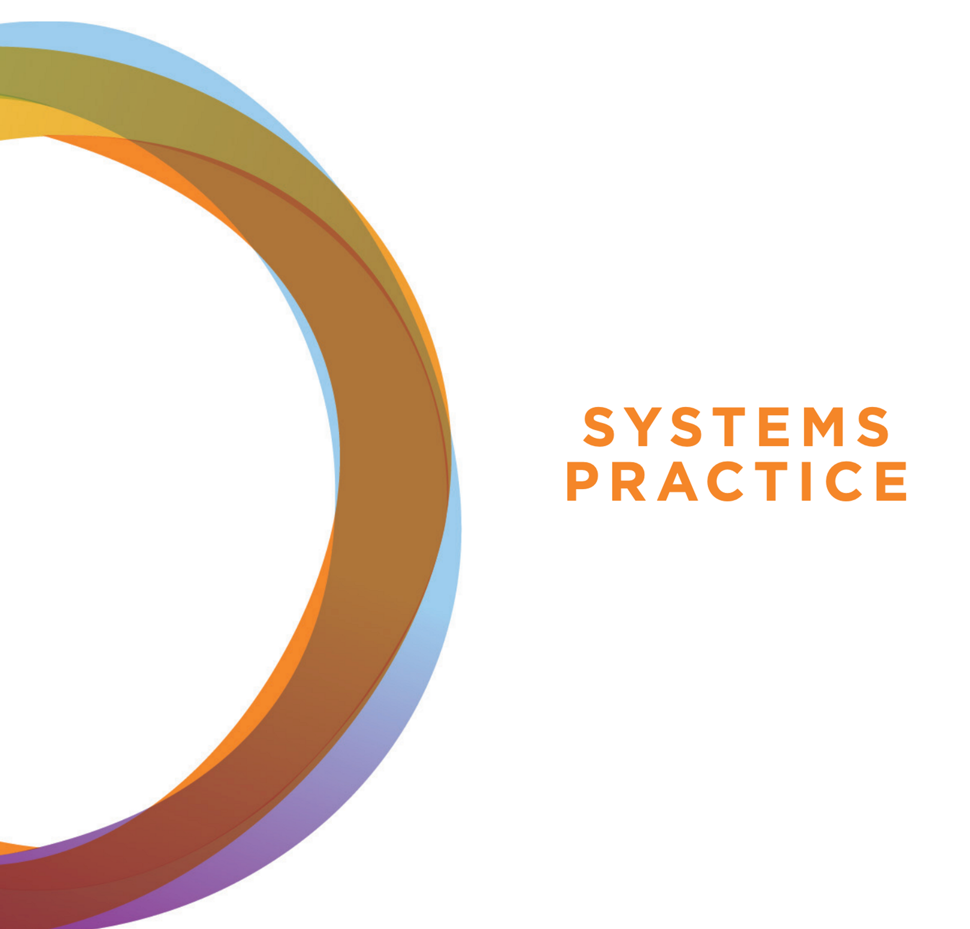 systemic practice brackground