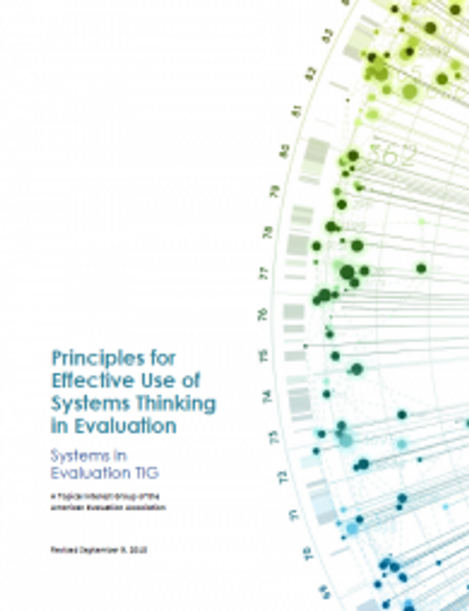 principles-for-effective-use-of-systemik-thinking